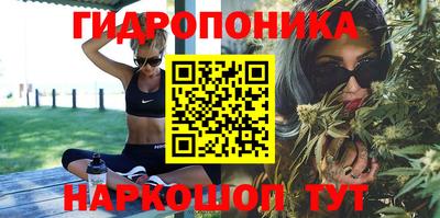 сатива Железногорск