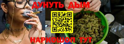 сатива Железногорск